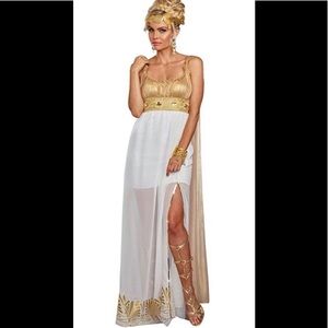 Dreamgirl Halloween Costume “Athena”, size XL NIP